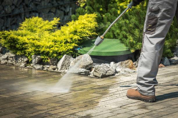 Best Gutter Cleaning  in Granite Falls, MN